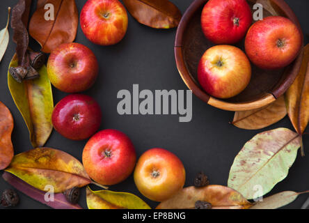 Herbst Hintergrund mit roten Äpfeln, gelbes Herbstlaub, Limes auf schwarzem Hintergrund dunkel. Thanksgiving-Grenze machte der Herbstfrüchte mit Textfreiraum Stockfoto