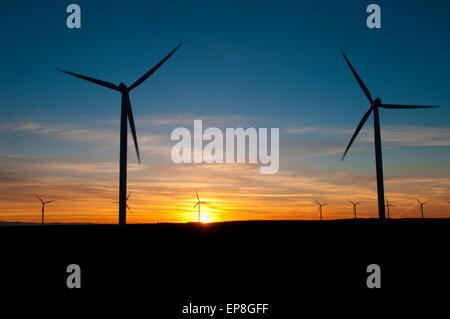 Windenergieanlagen bei Sonnenuntergang in SW in Idaho Stockfoto