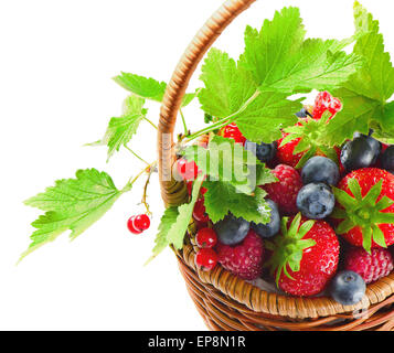 Frische Beeren in den Korb isoliert auf weißem Hintergrund Stockfoto