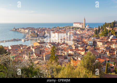 Malerische Altstadt Piran, Slowenien. Stockfoto
