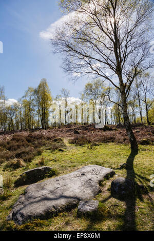 Replikat Felsblock mit neolithischen oder Bronzezeit "Tasse und Ring" Markierungen, Gardom Kante, Peak District National Park, Derbyshire Stockfoto