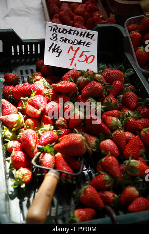 Obst stall bei Markthalle Hala Targowa, Breslau, Schlesien, Polen, Europa Stockfoto