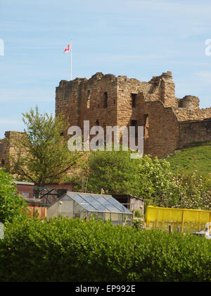 Newcastle Upon Tyne, 15. Mai 2015, Großbritannien Wetter. 11. Jahrhundert Norman Castle mit kleinbäuerliche Kleingärten Grundstücke im Vordergrund bei Tynemouth, bei schönem Wetter wird Baden. Bildnachweis: James Walsh/Alamy Live-Nachrichten Stockfoto