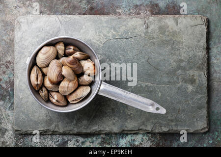 Roher Muscheln Vongole in Sieb auf Stein Schiefer-Hintergrund Stockfoto