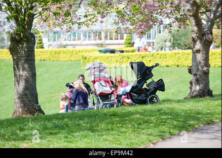 Birmingham, West Midlands, UK. 15. Mai 2015. Menschen entspannen Sie an einem sonnigen Tag in den botanischen Gärten. Bildnachweis: Graham M. Lawrence/Alamy Live-Nachrichten. Stockfoto