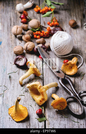 Pfifferlinge Pilze, Nüssen und Beeren mit Vintage Scheren und Thread über hölzerne Hintergrund. Serien ansehen Stockfoto