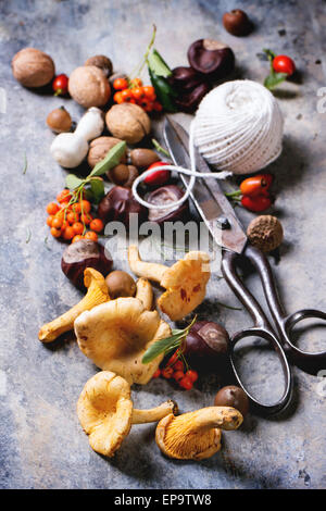 Pfifferlinge Pilze, Nüssen und Beeren mit Vintage Scheren und Thread über Tin-Oberfläche. Serien ansehen Stockfoto