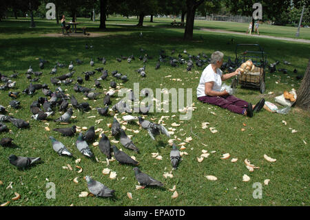 Toronto, Kanada: eine Frau in einem Park Tauben füttern Stockfoto