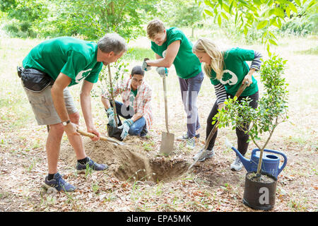 Umweltschützer Freiwilligenarbeit Pflanzen Baum Stockfoto