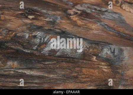 Aborigine-Felskunst. Stockfoto