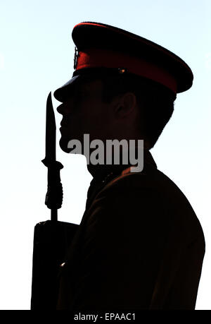 Bad Fallingbostel, Deutschland. 15. Mai 2015. Ein britischer Soldat sein Gewehr mit festen Bajonett, während einer verlassen Parade in Bad Fallingbostel, Deutschland, 15. Mai 2015. Anlässlich ihrer verlassen, statt britischen Streitkräfte eine Militärparade, Tag der offenen Tür und ein Familienfest in Bad Fallingbostel. In den kommenden Monaten werden die rund 2300 Soldaten und ihre Familien die Stadt, im Rahmen der seit langem geplante Rückzug der Truppen verlassen. Foto: PETER STEFFEN/Dpa/Alamy Live News Stockfoto