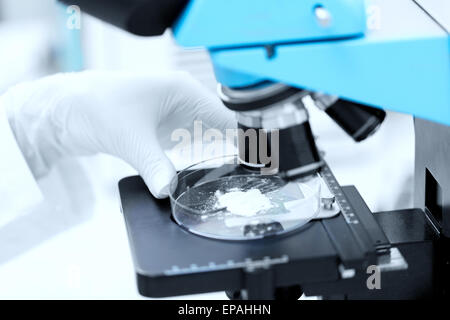 Nahaufnahme von Hand mit Mikroskop und Puder Probe Stockfoto