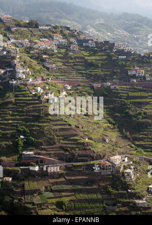 Häuser und kleine terrassierten Feldern und Bauernhöfen an den Berghängen in der Nähe von Funchal, Madeira, Europa Stockfoto