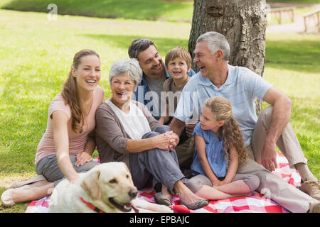 Erweiterte Familie mit ihrem Hund im park Stockfoto