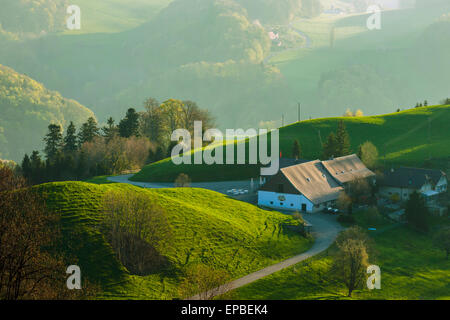 Frühling am Morgen im Schweizer Jura in der Nähe von Eptingen, Kanton Basel-Landschaft. Stockfoto