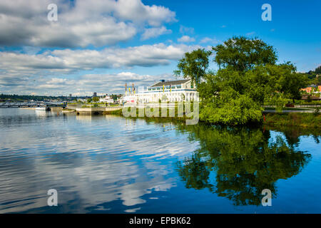 Baum und Wolken reflektiert in Lake Union, in Seattle, Washington. Stockfoto