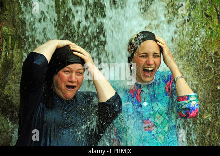 Wasserfall in der Wüste, Ein Gedi Naturreservat, Totes Meer, Israel. Nur zur redaktionellen Verwendung. Stockfoto