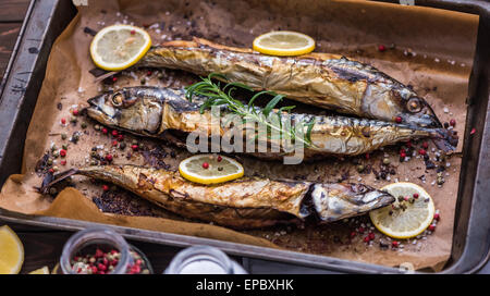 Ganzer Fisch mit Gewürzen, Zitrone und Rosmarin in einen Bräter Pfanne mit Backpapier gebacken Stockfoto