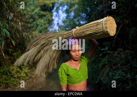 Chakma Frau Bundle auf Weg auf den Markt zu tragen; Khagrachari, Division Chittagong, Bangladesch Stockfoto