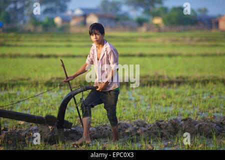 Bunong junge mit Wasserbüffel Pflügen; Mondulkiri, Bangladesch Stockfoto