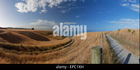 Schöne Aussicht vom Kaikoura Halbinsel Gehweg, Canterbury, Neuseeland Stockfoto