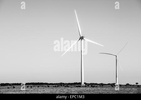 Drei Windmühlen - saubere Energiegewinnung, Victoria, Australien Stockfoto