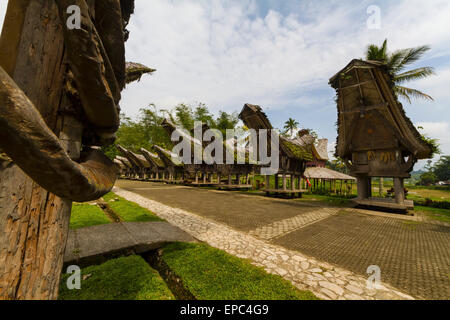 Tongkonans, uralte traditionelle Toraja Häuser in Kete Kesu, Toraja Land, Süd-Sulawesi, Indonesien Stockfoto