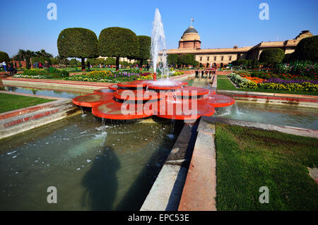 Mughal Gärten Rashtrapati Bhawan Delhi Indien umfassendere Sicht von innen und in der Nähe von einem schönen Brunnen Stockfoto