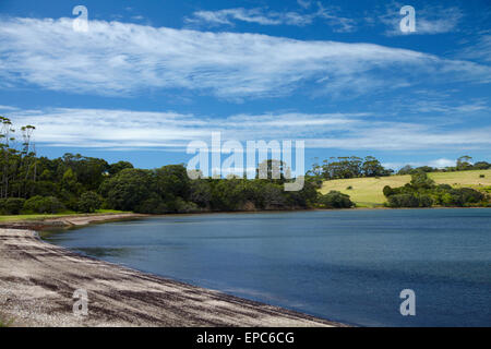 Okoromai Bay, Shakespear Regional Park, Whangaparaoa Peninsula, North Auckland, Nordinsel, Neuseeland Stockfoto