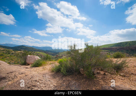 Gestrüpp Pinsel Felsen und Geröll in der Wildnis der kalifornischen Mojave-Wüste. Stockfoto