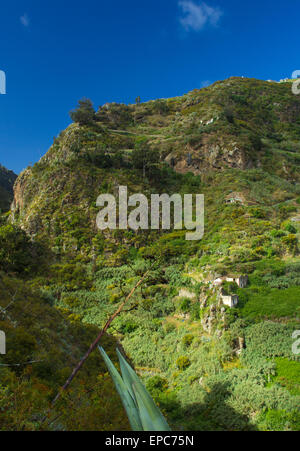 Gran Canaria, im Landesinneren Nortern Teile, Barranco de Azuaje Naturresort Stockfoto