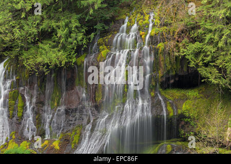 Panther Creek Falls im Skamania County Washington State Forest Stockfoto