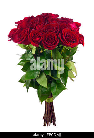 Bouquet von blühenden dunkel rote Rosen isoliert auf weißem Hintergrund. Closeup. Stockfoto