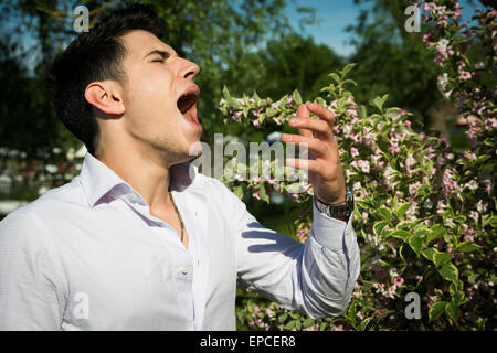 Attraktive junge Mann neben Blumen Niesen wegen Heuschnupfen Allergie Stockfoto