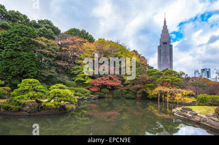 Shinjuku Gyōen Park im Herbst, Tokyo, Japan Stockfoto