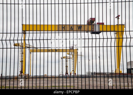 Blick durch Sicherheitszaun, Krane, Samson und Goliath in Harland und Wolff Werft, Belfast. Stockfoto