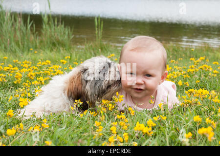 Süßes Babymädchen und Welpe in einem Feld von Butterblumen Stockfoto