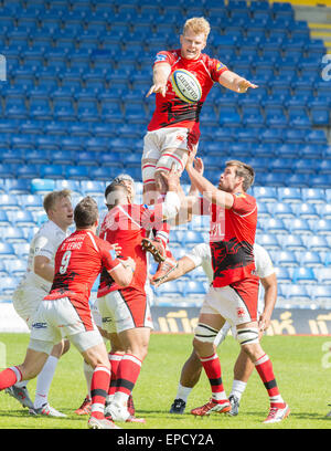 Oxford, UK. 16. Mai 2015. Aviva Premiership Rugby. London Welsh gegen Sarazenen. Josh McNally gewinnt Line-out Kugel. Bildnachweis: Aktion Plus Sport/Alamy Live-Nachrichten Stockfoto