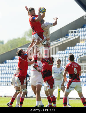 Oxford, UK. 16. Mai 2015. Aviva Premiership Rugby. London Welsh gegen Sarazenen. Matt Corker Line-out Kugel zu gewinnen. Bildnachweis: Aktion Plus Sport/Alamy Live-Nachrichten Stockfoto