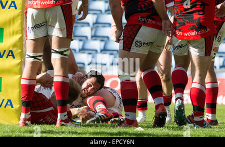 Oxford, UK. 16. Mai 2015. Aviva Premiership Rugby. London Welsh gegen Sarazenen. Maro Itoje punktet in der zweiten Hälfte. Bildnachweis: Aktion Plus Sport/Alamy Live-Nachrichten Stockfoto