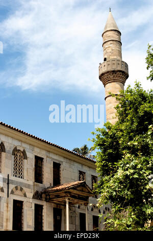 Die Platane des Hippokrates in der Nähe von Gazzi Hassan-Moschee Stockfoto