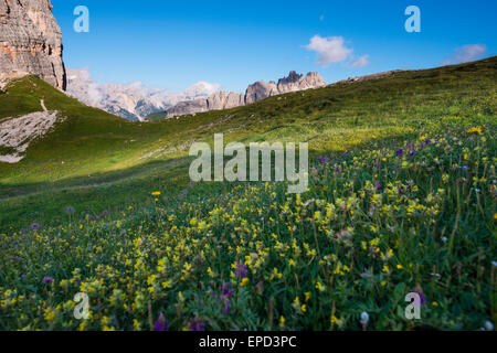 Lastoi de Formin und Cinque Torri Bergketten bei Sonnenaufgang im Sommer Wiesen mit gelben Blüten, Dolomiten, Italien Stockfoto