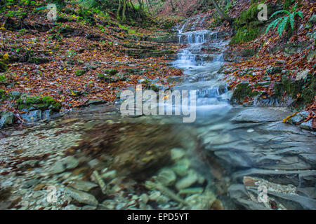 Wasserfall im Wald im Herbst, Monte Cucco NP, Umbrien, Italien Stockfoto