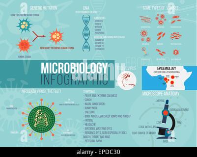 Mikrobiologie-Infografik. Set mit verschiedenen Formen des Virus. Flache Design-Elemente. Stock Vektor