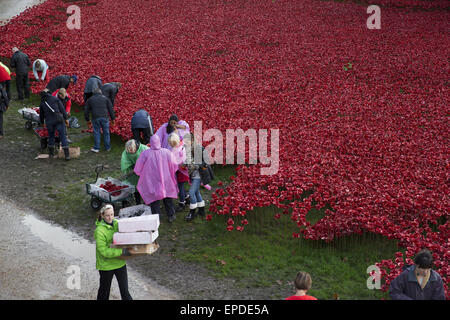 Freiwilligen zu demontieren die Festschrift Kunstinstallation "Blut Mehrfrequenzdarstellung Länder und Meere of Red", beginnen die bietet Hunderte von Keramik Mohnblumen im Graben an der Tower of London.  Mitwirkende: Atmosphäre wo: London, Vereinigtes Königreich bei: Kredit-12. November 2014: Seb/WENN.com Stockfoto