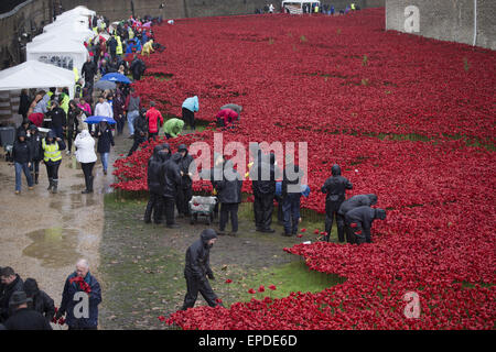 Freiwilligen zu demontieren die Festschrift Kunstinstallation "Blut Mehrfrequenzdarstellung Länder und Meere of Red", beginnen die bietet Hunderte von Keramik Mohnblumen im Graben an der Tower of London.  Mitwirkende: Atmosphäre wo: London, Vereinigtes Königreich bei: Kredit-12. November 2014: Seb/WENN.com Stockfoto