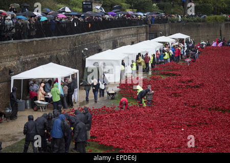 Freiwilligen zu demontieren die Festschrift Kunstinstallation "Blut Mehrfrequenzdarstellung Länder und Meere of Red", beginnen die bietet Hunderte von Keramik Mohnblumen im Graben an der Tower of London.  Mitwirkende: Atmosphäre wo: London, Vereinigtes Königreich bei: Kredit-12. November 2014: Seb/WENN.com Stockfoto