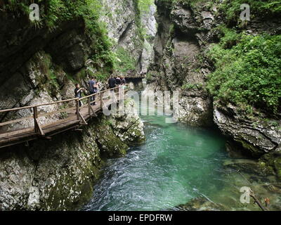 Schlucht von VINTGAR - 13 JUN: Geschnitzt vom Fluss Radovna, sind die steilen Felswände 50 bis 100 m hoch. 13. Juni 2011, in Bled Gor Stockfoto