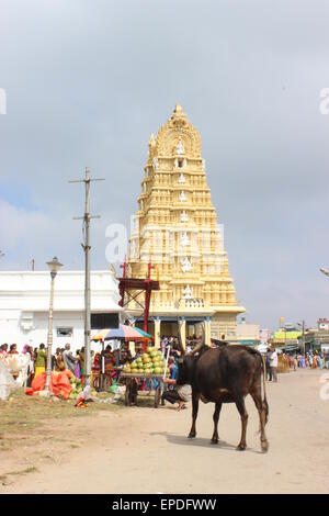 Der Tempel und der Wallfahrt Bezirk von Chamundi Hill, Mysore. Chamundi (Durga) Tempel mit heilige Kuh. Stockfoto