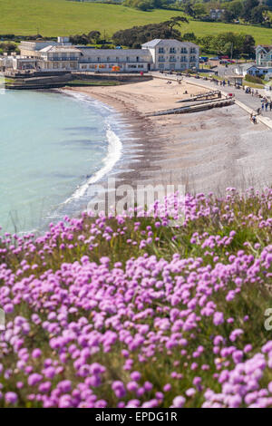 Blick nach unten vom oberen Rand der Klippen über Süßwasser-Bucht und Süßwasser-Dorf an der Isle of Wight, Hampshire Großbritannien im Mai Stockfoto